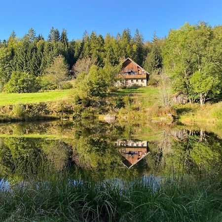 Ferienhaus Klause Neureichenau Kültér fotó