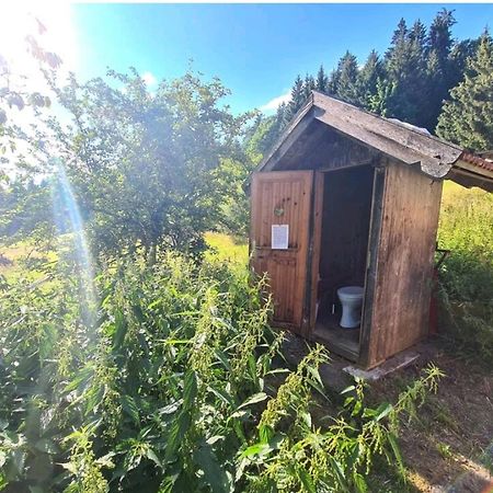 Ferienhaus Klause Neureichenau Kültér fotó