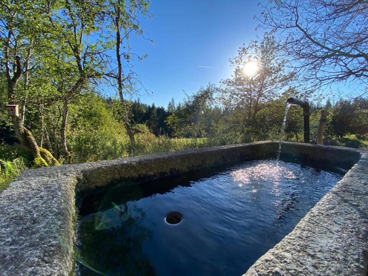 Ferienhaus Klause Neureichenau Kültér fotó