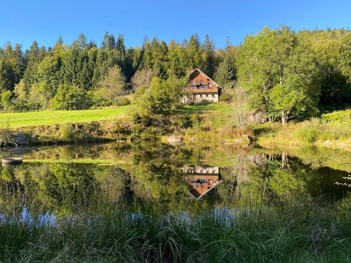 Ferienhaus Klause Neureichenau Kültér fotó