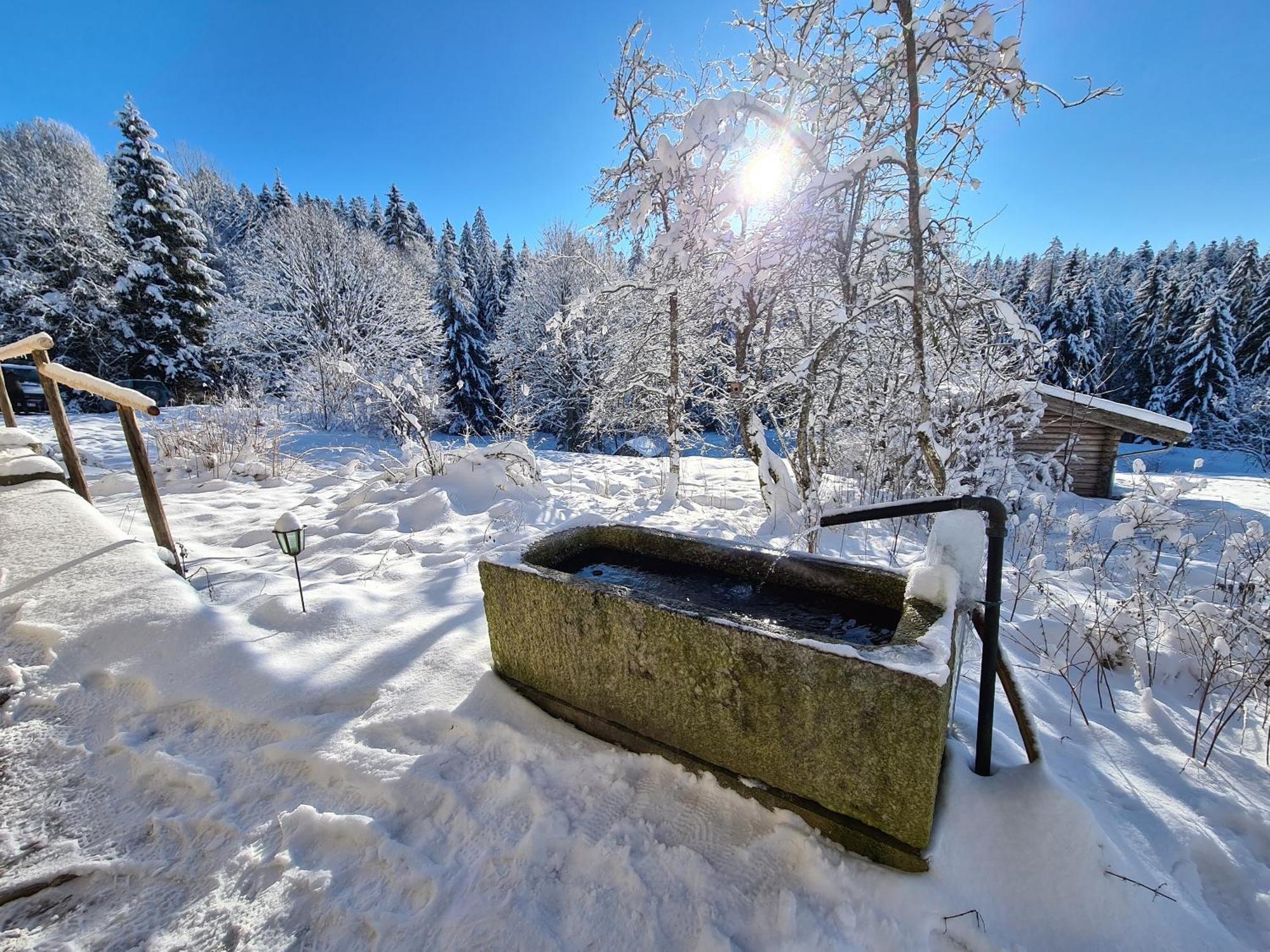 Ferienhaus Klause Neureichenau Kültér fotó