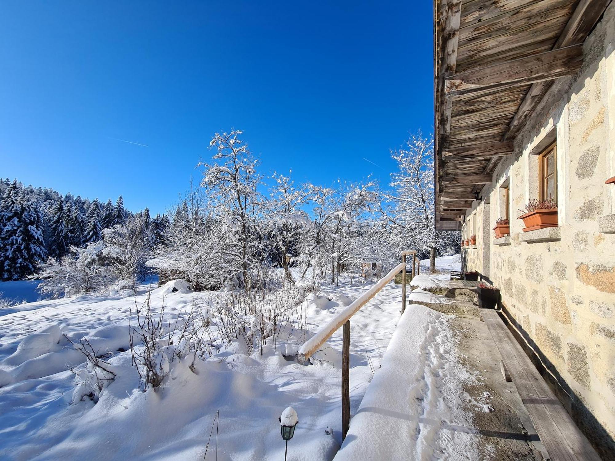 Ferienhaus Klause Neureichenau Kültér fotó